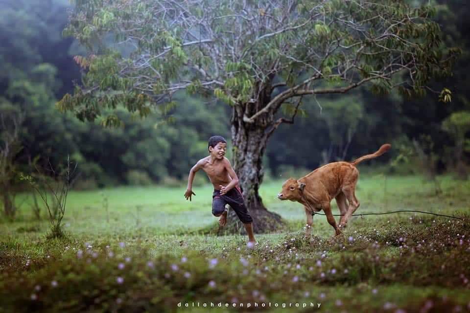 Terengganu Boy Playing With Cattle Have Gone Viral After Winning at an International Forum