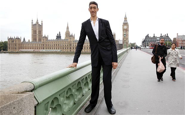 World's Tallest Man Meets The World's Shortest Woman For A Photoshoot