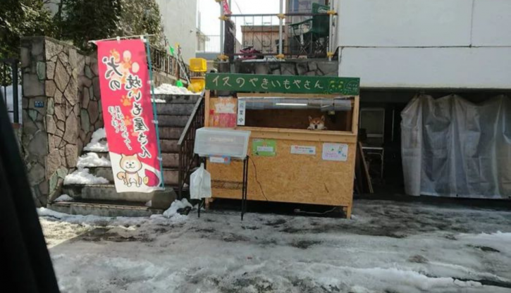 This 3 Year Old Dog Runs A Sweet Potato Shop In Japan