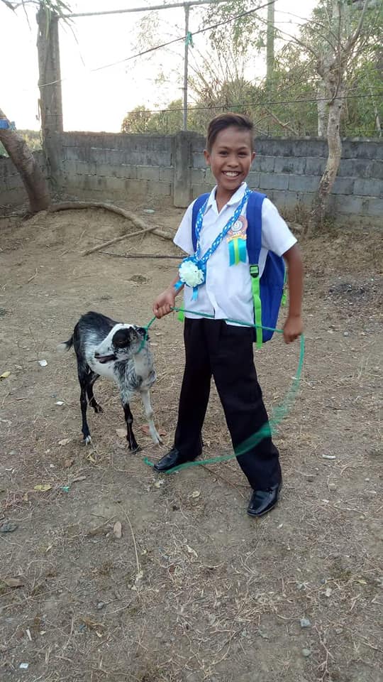 Little boy asks for goat as graduation gift