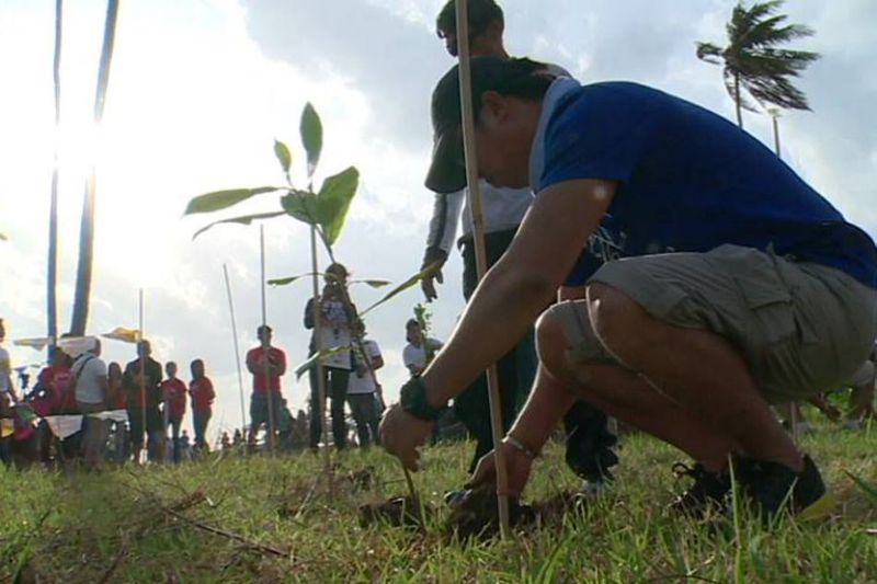 Philippines Passes New Law That Requires Students To Plant 10 Trees Before They Graduate