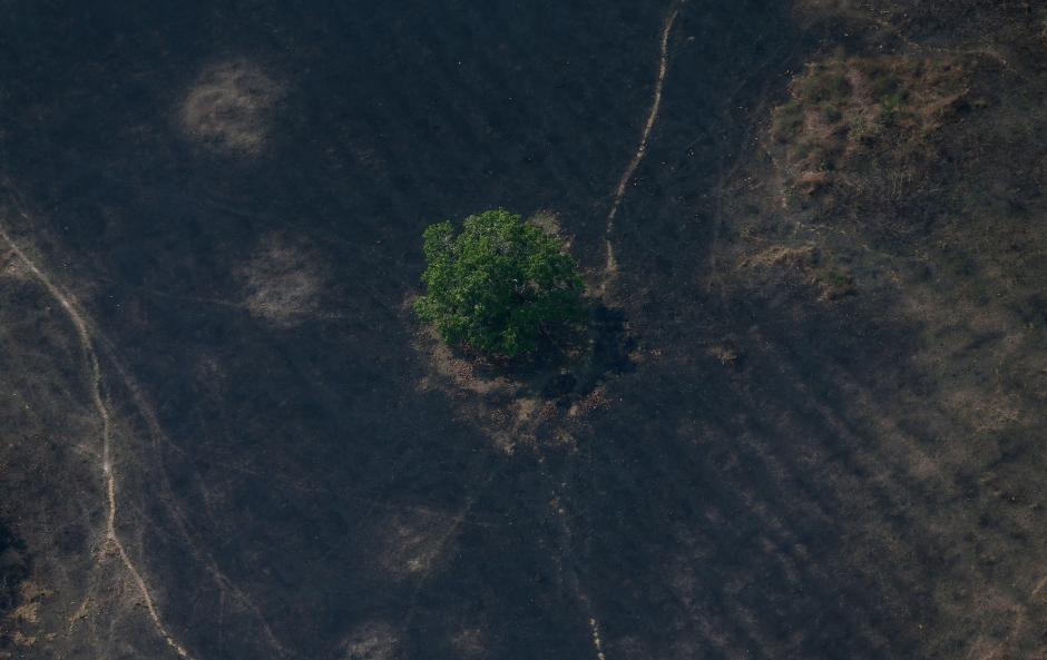 Aerial Pictures Of Amazon Rainforest Showing The Massive Destruction Done By The Wildfires