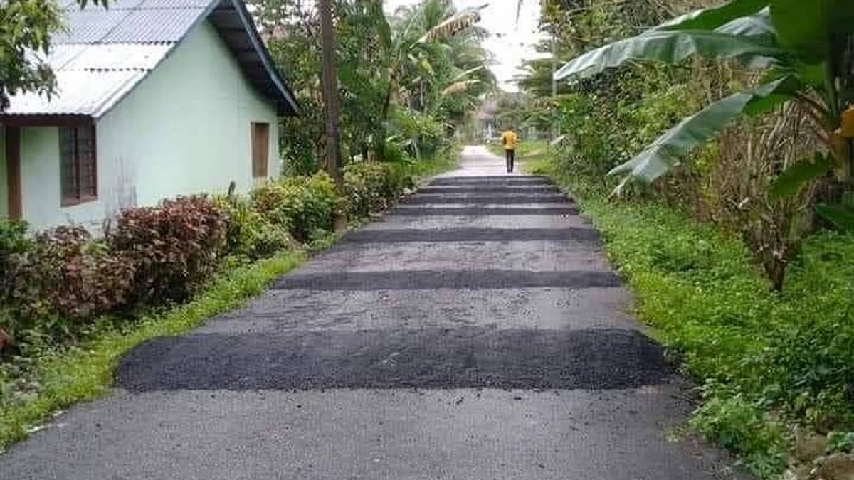 Man installs 11 Speed Bumps near His Home to get rid of noisy vehicles