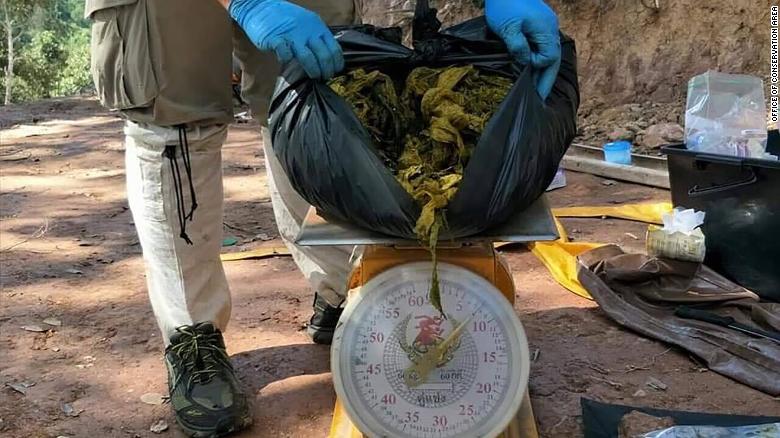 Deer Found Dead In Thai National Park With 15 Pounds of Trash Inside His Stomach