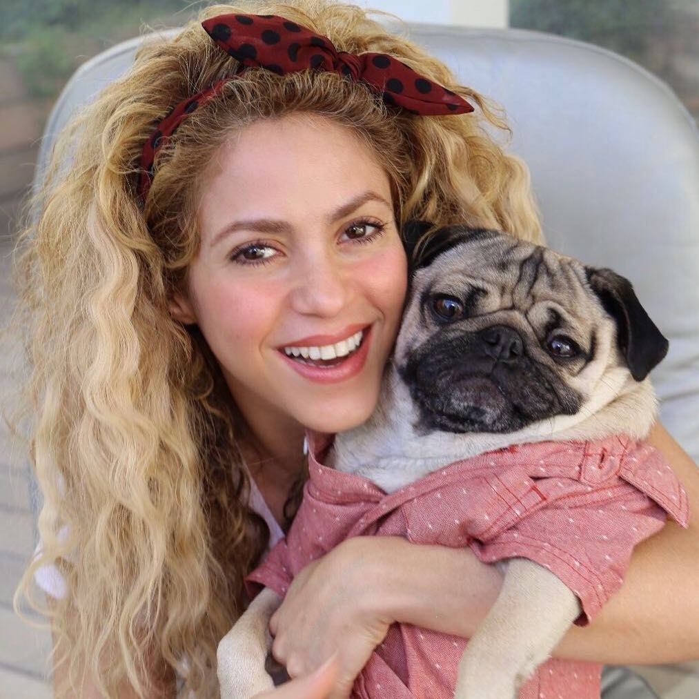 These 15 Pictures Of Shakira Will Prove She is Way Too Young To Be Called 41 Years Old Shakira