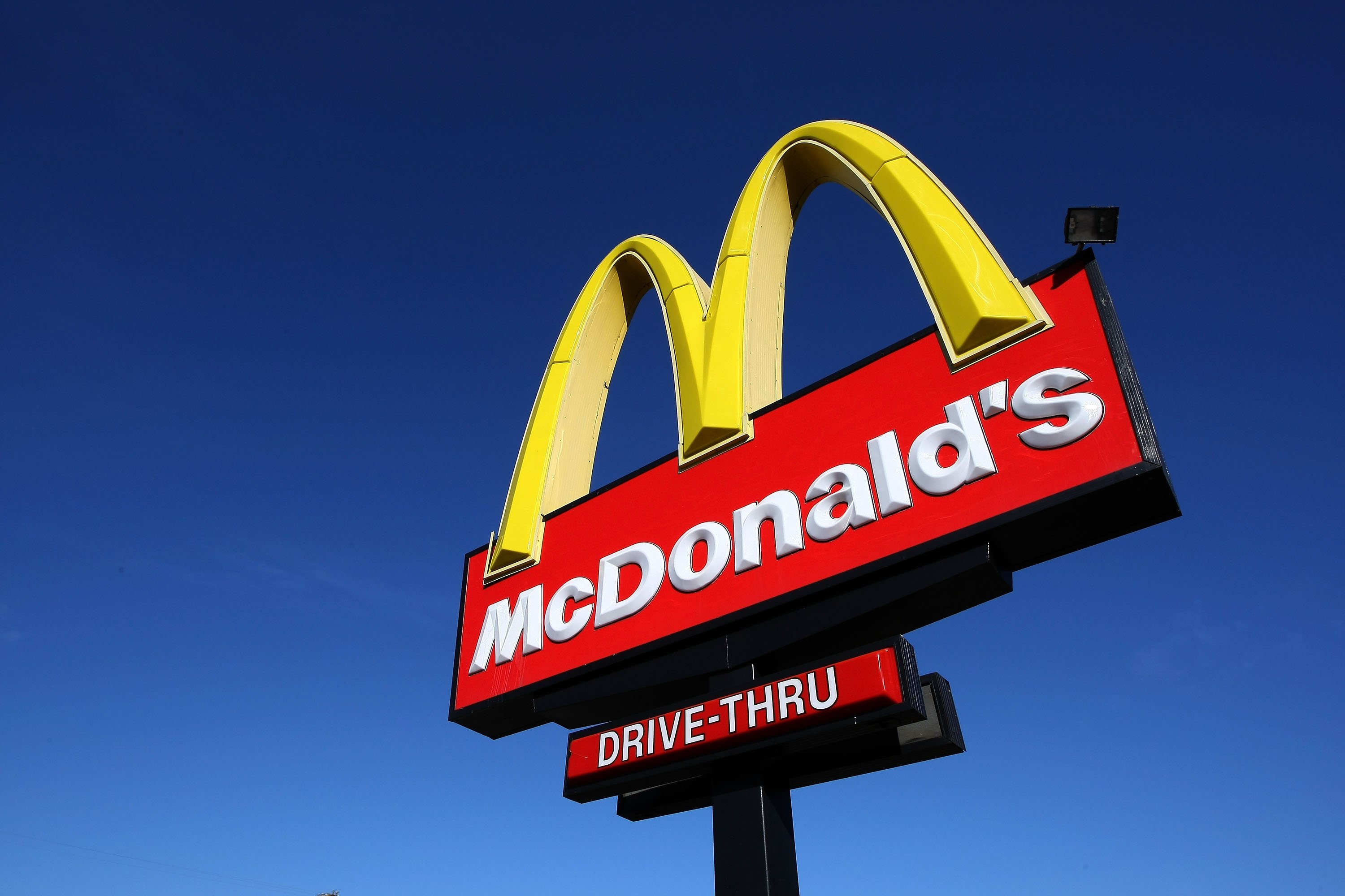  Dog Conned Customers At McDonald's To Get Burgers By Pretending To Be A Stray
