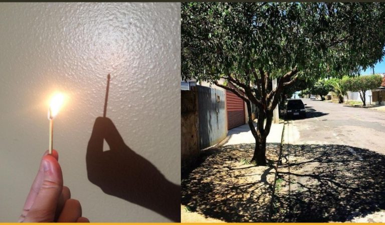30 Optical Illusions Created By Shadows That Are Just Too Incredible