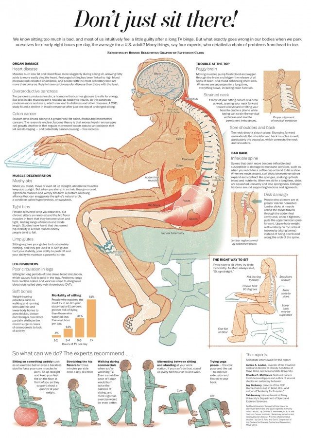 scientists body sitting hours