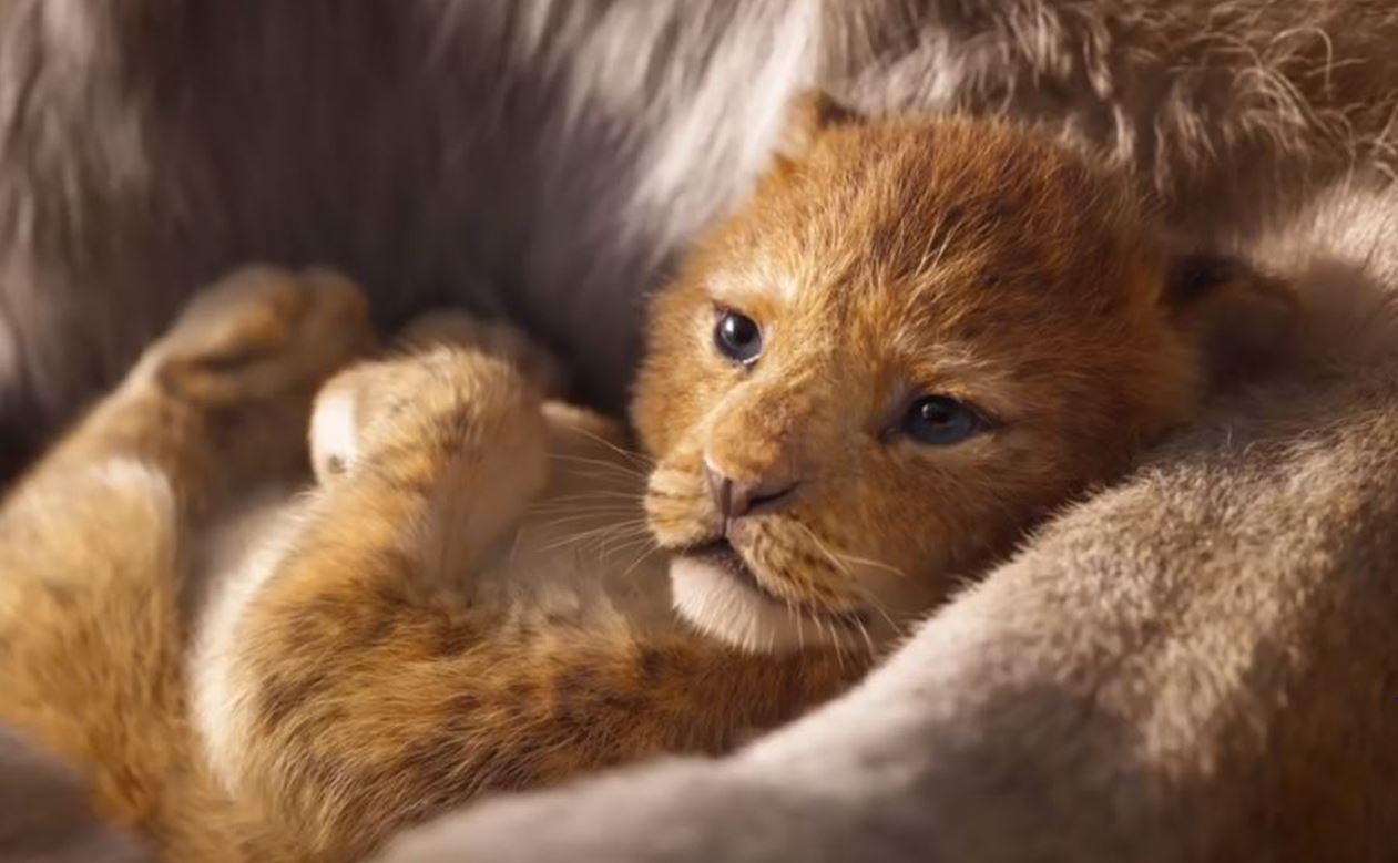 Disney Released The First Official Trailer Of The Lion King And It's Beyond Amazing