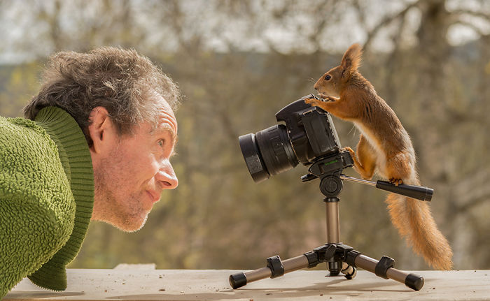 Photographer Followed Squirells For 6 Years And Here Are The Best Of His Pictures