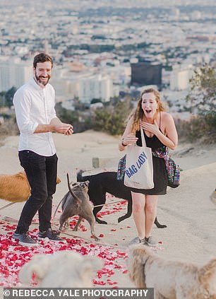 Most Epic Proposal Ever That Included Dogs Jumping Around When The Girl Said "Yes"