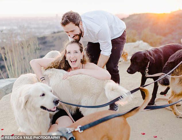 Most Epic Proposal Ever That Included Dogs Jumping Around When The Girl Said "Yes"