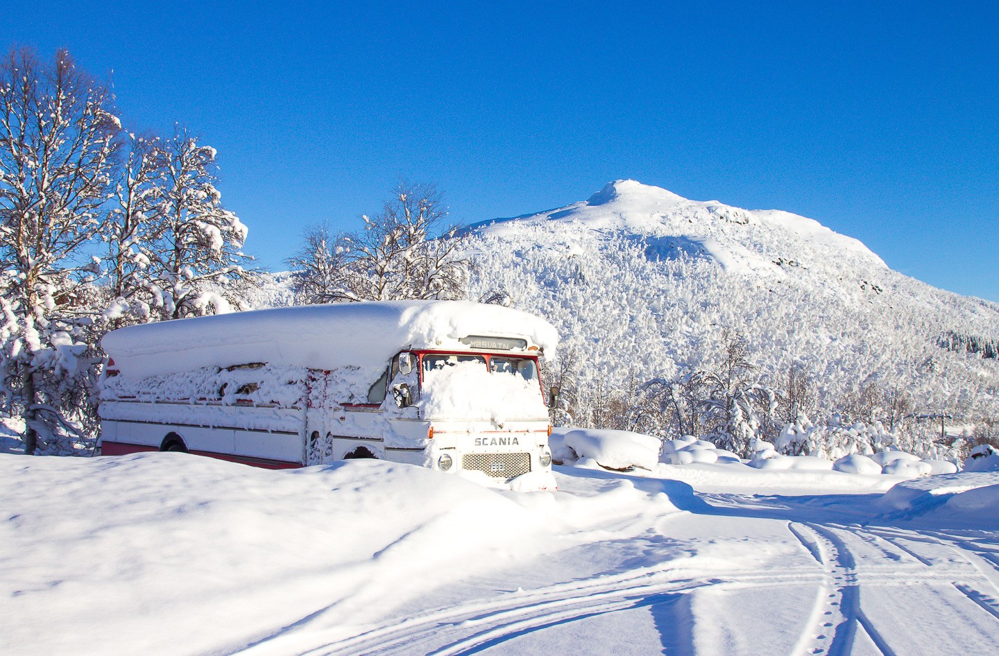 Winter Photographs Will Make you Feel Cold