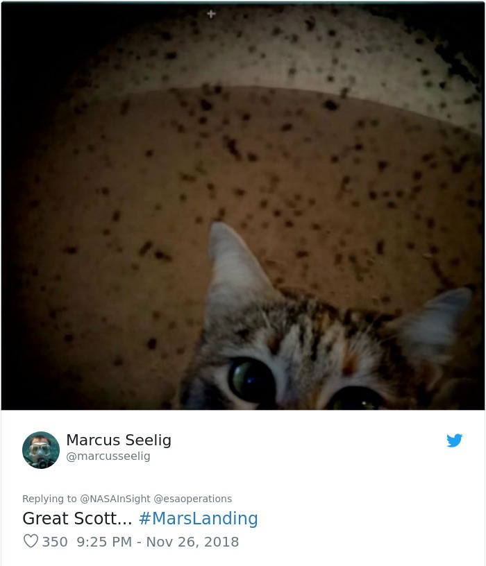 Funny Reactions To NASA’s InSight’s First Photos From Mars