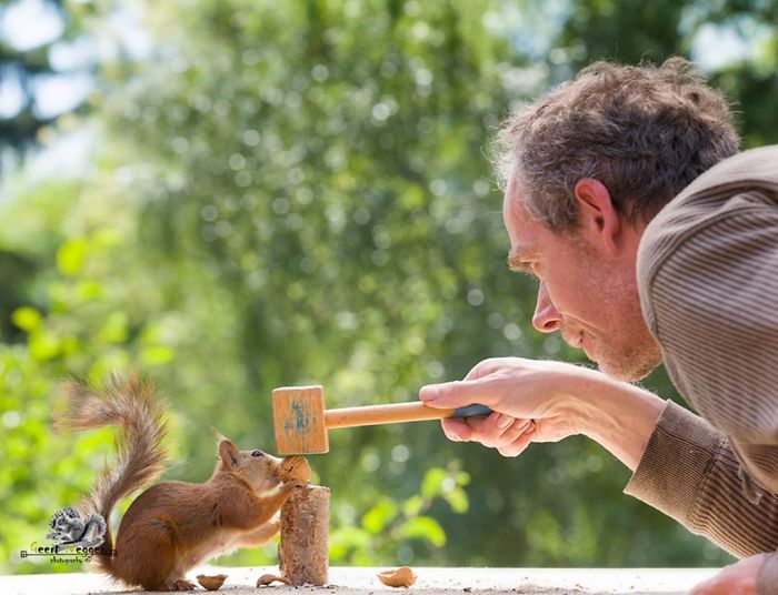 Photographer Followed Squirells For 6 Years And Here Are The Best Of His Pictures