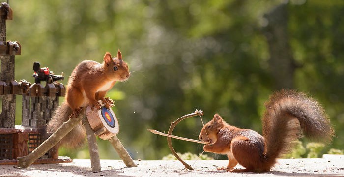 Photographer Followed Squirrels For 6 Years And Here Are The Best Of His Pictures