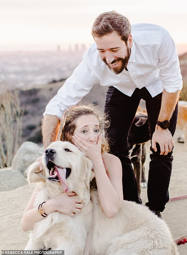 Most Epic Proposal Ever That Included Dogs Jumping Around When The Girl Said "Yes"