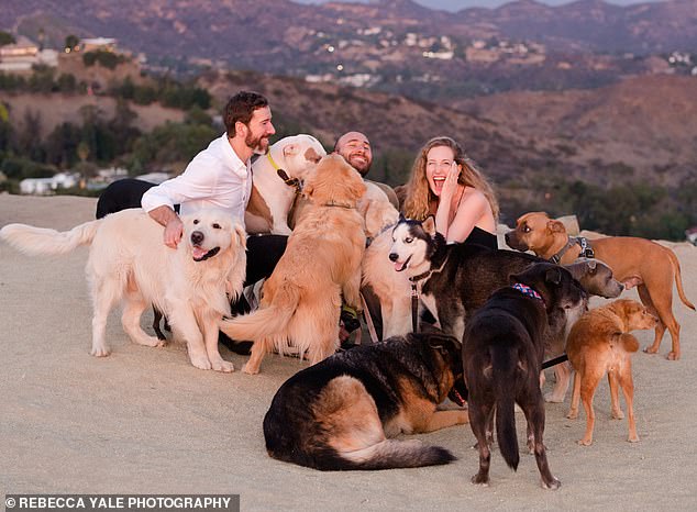 Most Epic Proposal Ever That Included Dogs Jumping Around When The Girl Said "Yes"