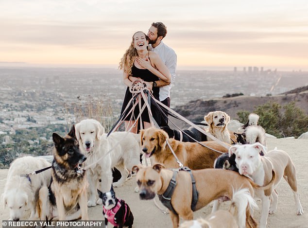 Most Epic Proposal Ever That Included Dogs Jumping Around When The Girl Said "Yes"