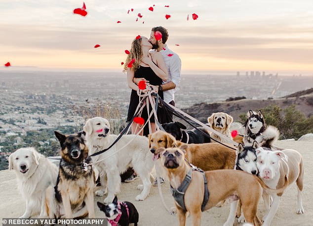 Most Epic Proposal Ever That Included Dogs Jumping Around When The Girl Said "Yes"