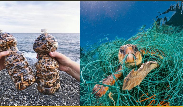 13 Pictures From Around The Globe That Proves How Much We Messed Up Our Planet Earth