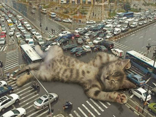 What If Giant Cats Lived Among Us?