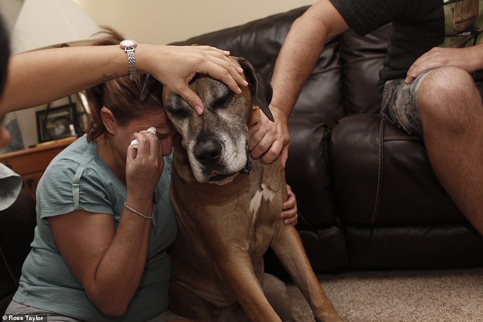 These Heartbreaking Pictures Capture The Emotions Of Pet Owners During their Pet Final Moments