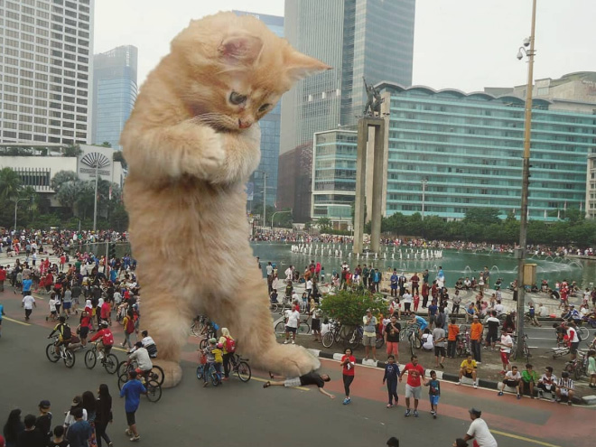 What If Giant Cats Lived Among Us?