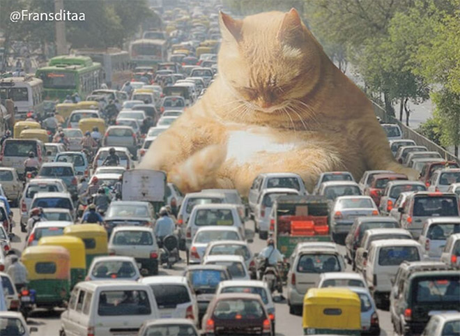 What If Giant Cats Lived Among Us?