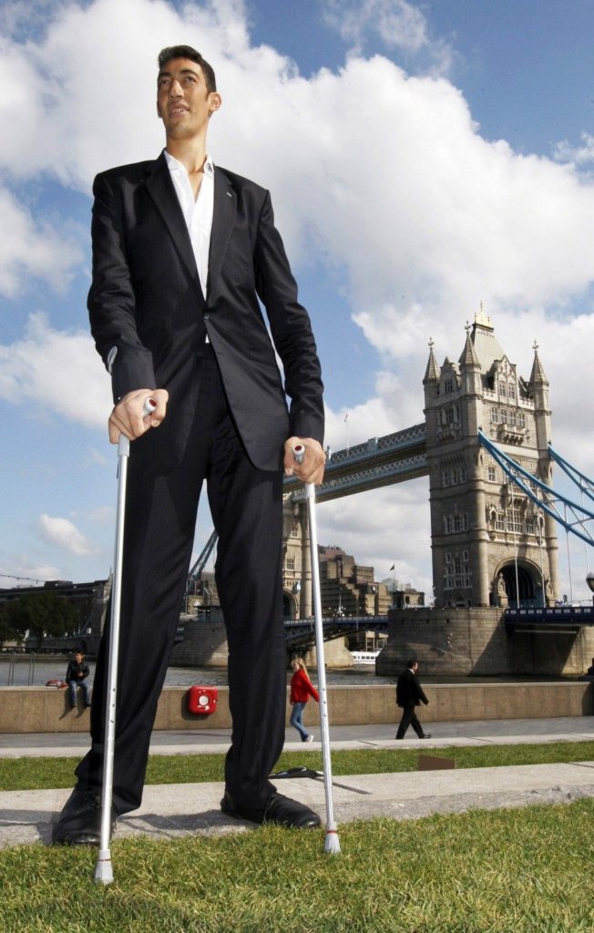 World's Tallest Man Meets The World's Shortest Woman For A Photoshoot