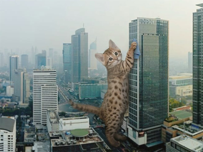 What If Giant Cats Lived Among Us?