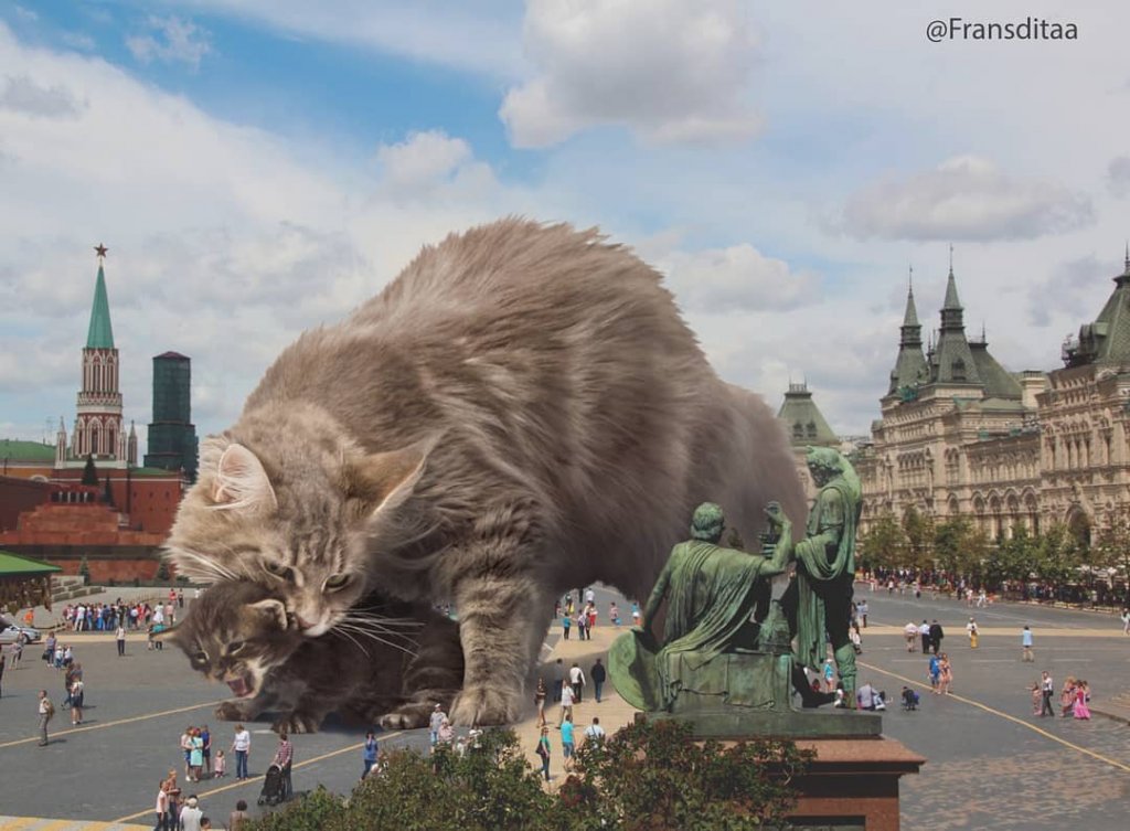 What If Giant Cats Lived Among Us?