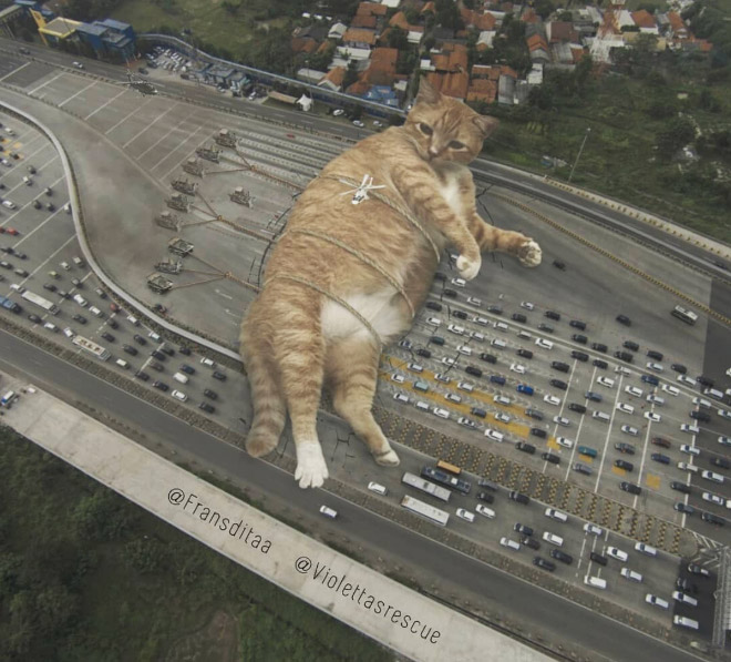 What If Giant Cats Lived Among Us?