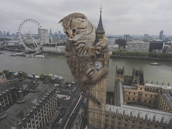 What If Giant Cats Lived Among Us?