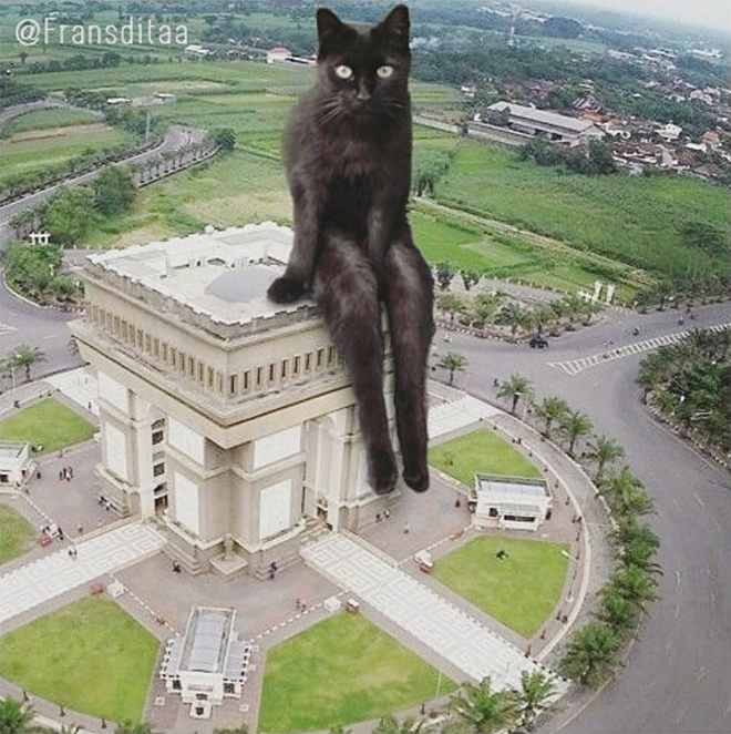 What If Giant Cats Lived Among Us?