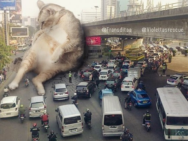 What If Giant Cats Lived Among Us?