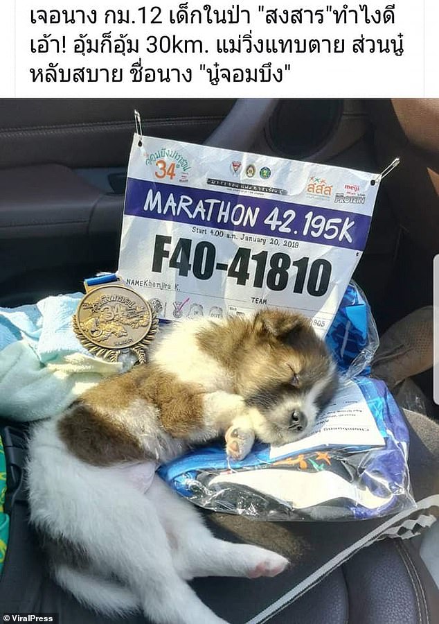 Marathon Competitor Runs 19 Miles Carrying A Puppy