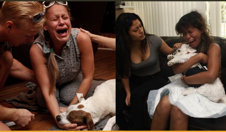 These Heartbreaking Pictures Capture The Emotions Of Pet Owners During Their Pet Final Moments