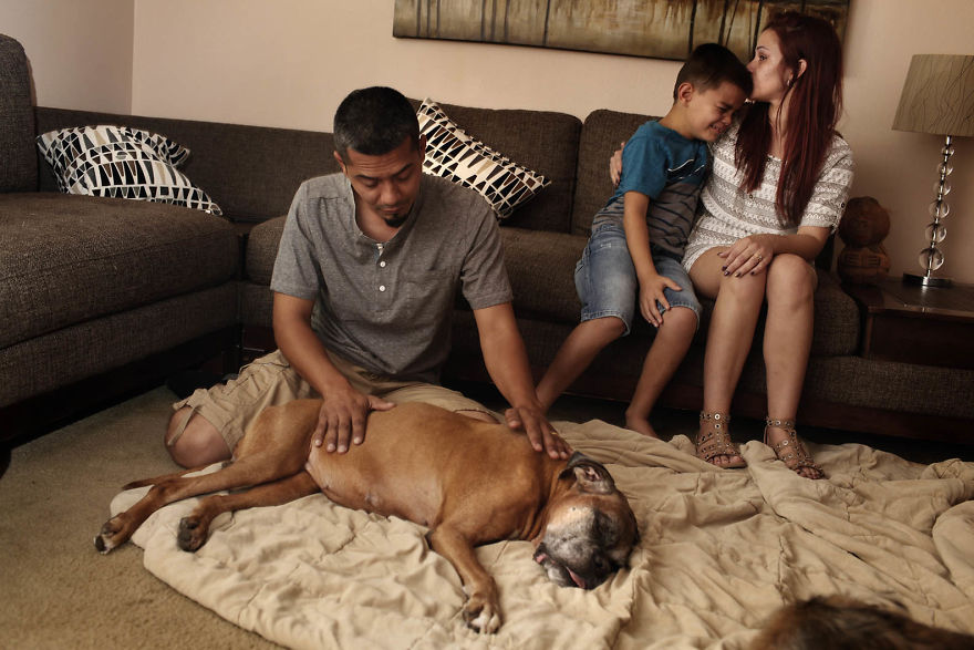 These Heartbreaking Pictures Capture The Emotions Of Pet Owners During their Pet Final Moments
