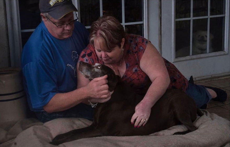 These Heartbreaking Pictures Capture The Emotions Of Pet Owners During their Pet Final Moments