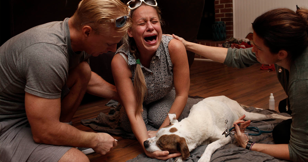 These Heartbreaking Pictures Capture The Emotions Of Pet Owners During their Pet Final Moments