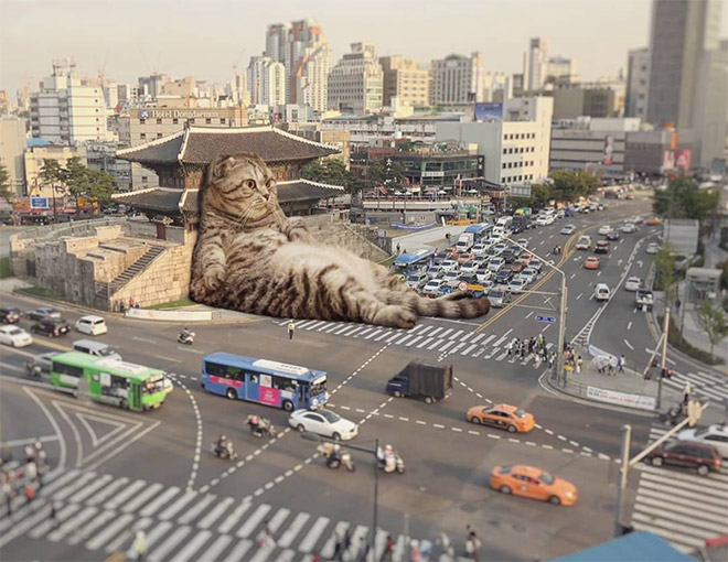 What If Giant Cats Lived Among Us?