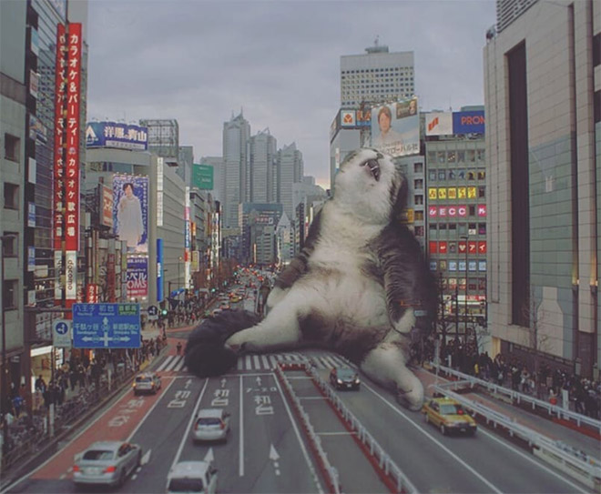 What If Giant Cats Lived Among Us?