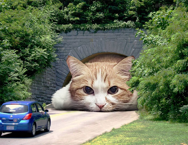 What If Giant Cats Lived Among Us?