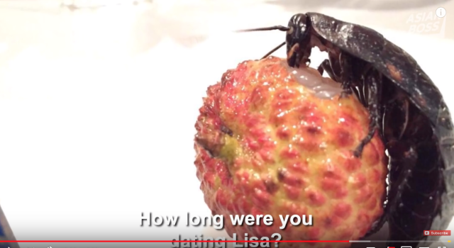japanese man dated a cockroach