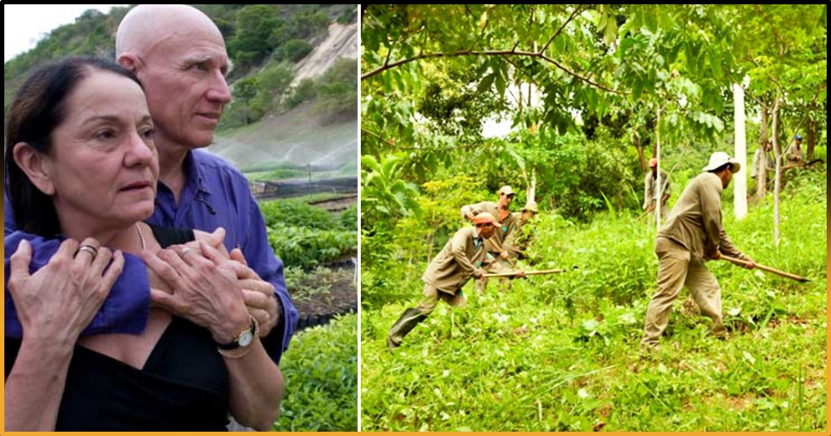 The Brazilian Photographer And The 20-Year Reforestation Project Of ...