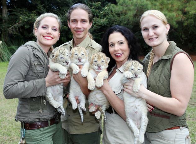 White Lion And White Tiger Have Babies Together And They Are The Cutest Babies Ever