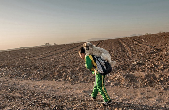 8-Year-Old Boy Travels More Than 6 Miles To School Daily With His Dog