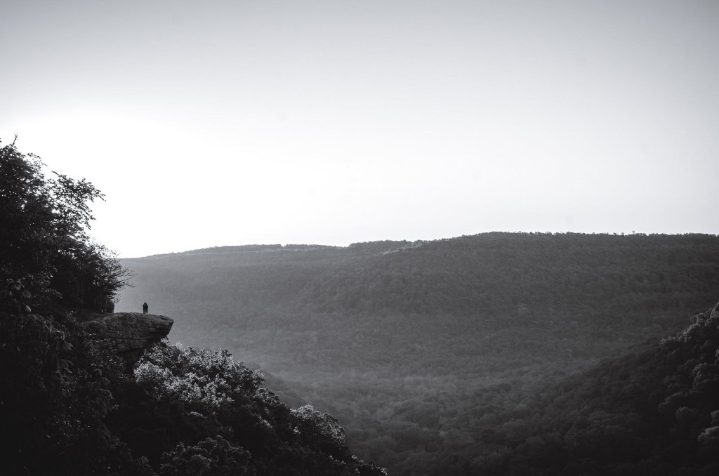 Photographer Captured The Proposal Of A Wrong Couple