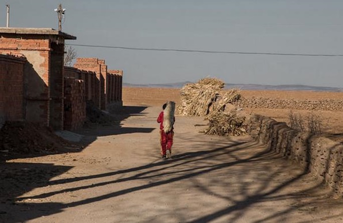 8-Year-Old Boy Travels More Than 6 Miles To School Daily With His Dog